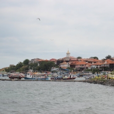 Summer Open Camp 2013