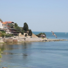 Summer Open Camp 2013